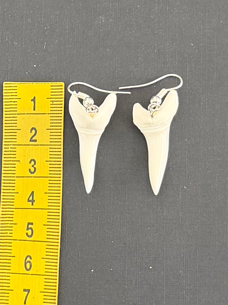 Real Mako Shark Teeth Earrings - No 16