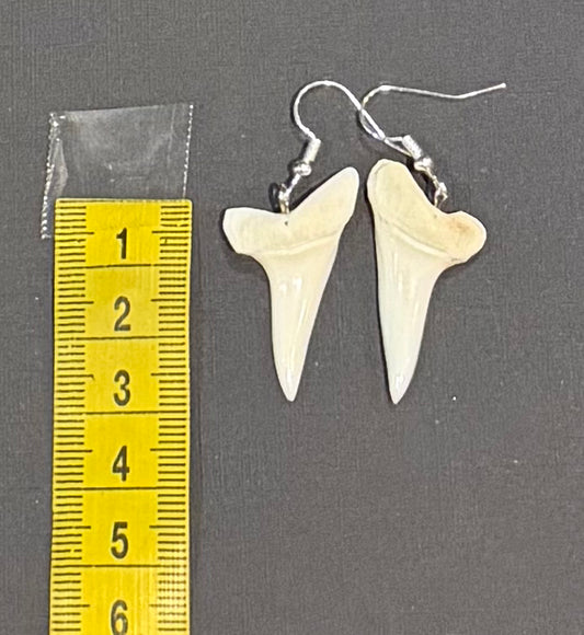 Real Mako Shark Teeth Earrings - No 12