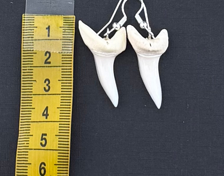 Real Mako Shark Teeth Earrings - No 25