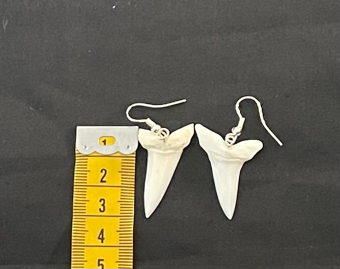 Real Mako Shark Teeth Earrings - No 6
