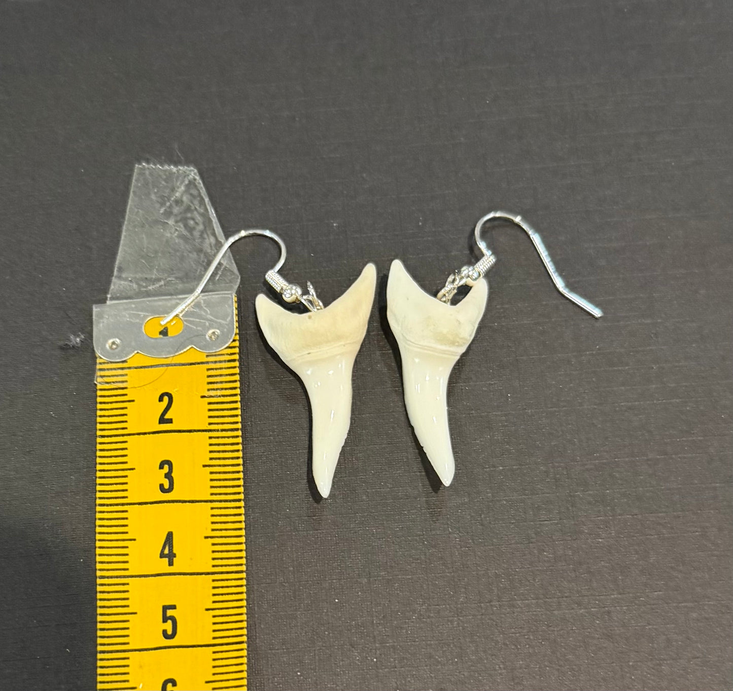 Real Mako Shark Teeth Earrings - No 12