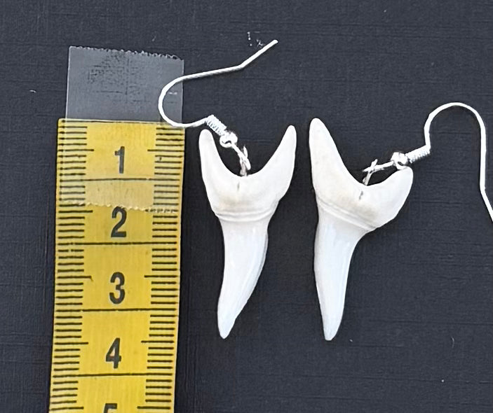 Real Mako Shark Teeth Earrings - No 23