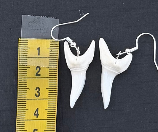 Real Mako Shark Teeth Earrings - No 23