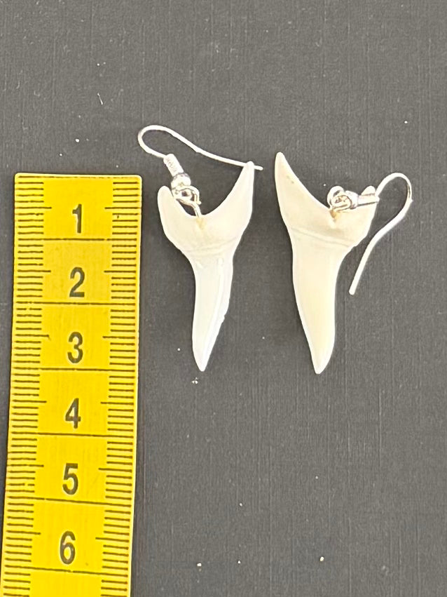 Real Mako Shark Teeth Earrings - No 14