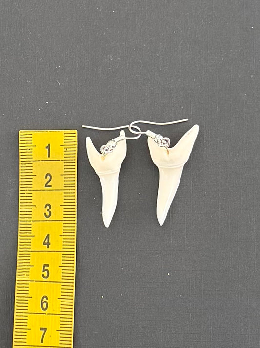 Real Mako Shark Teeth Earrings - No 20