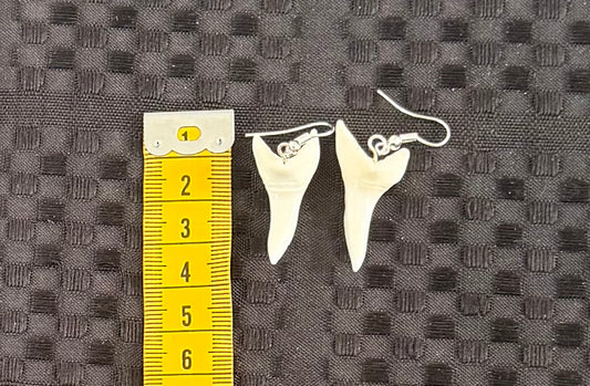 Real Mako Shark Teeth Earrings - No 13
