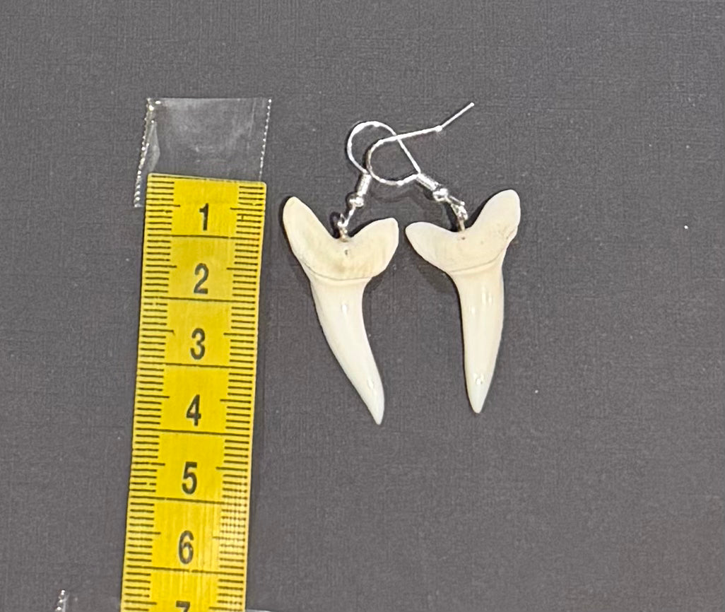 Real Mako Shark Teeth Earrings - No 14