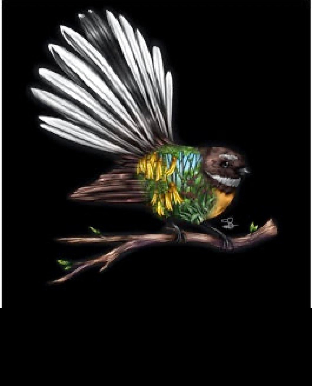 Fantail A4 Acrylic Print