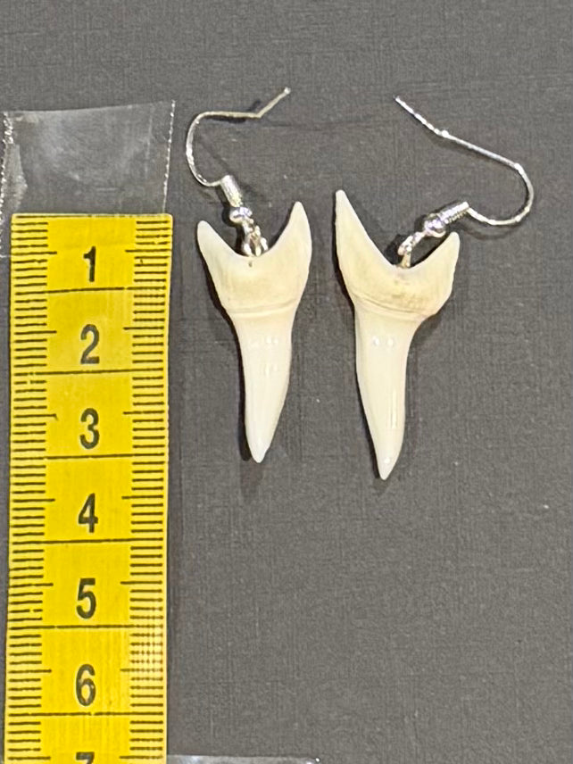 Real Mako Shark Teeth Earrings - No 11