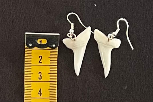 Real Mako Shark Teeth Earrings - No 14
