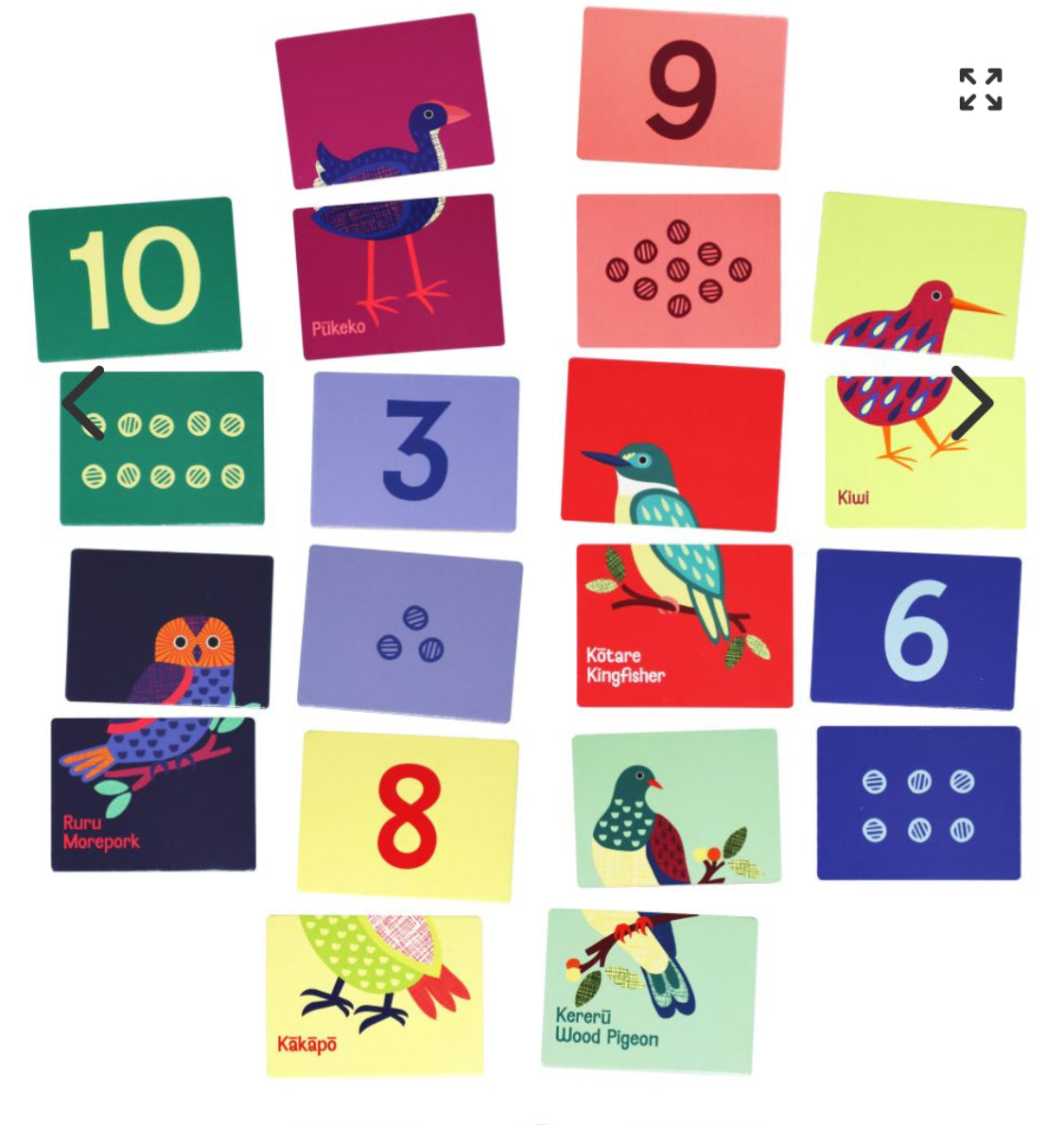 Heads and Tails NZ Native Birds Game