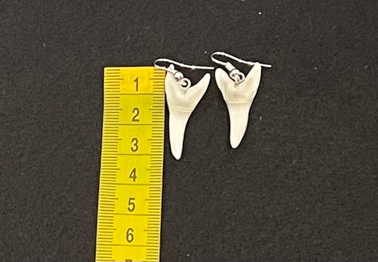 Real Mako Shark Teeth Earrings - No 9