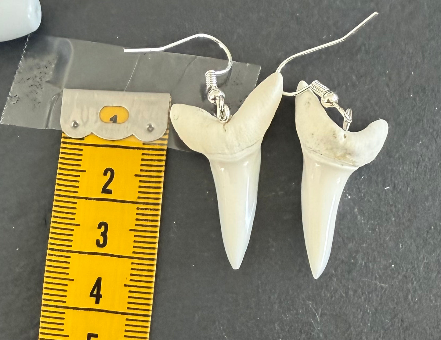Real Mako Shark Teeth Earrings - No 2