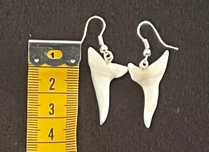 Real Mako Shark Teeth Earrings - No 1