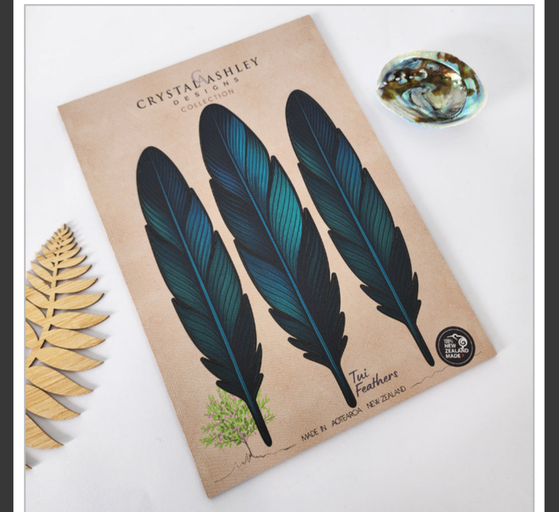 Popout Maori Tui Feather Set - Wall Art