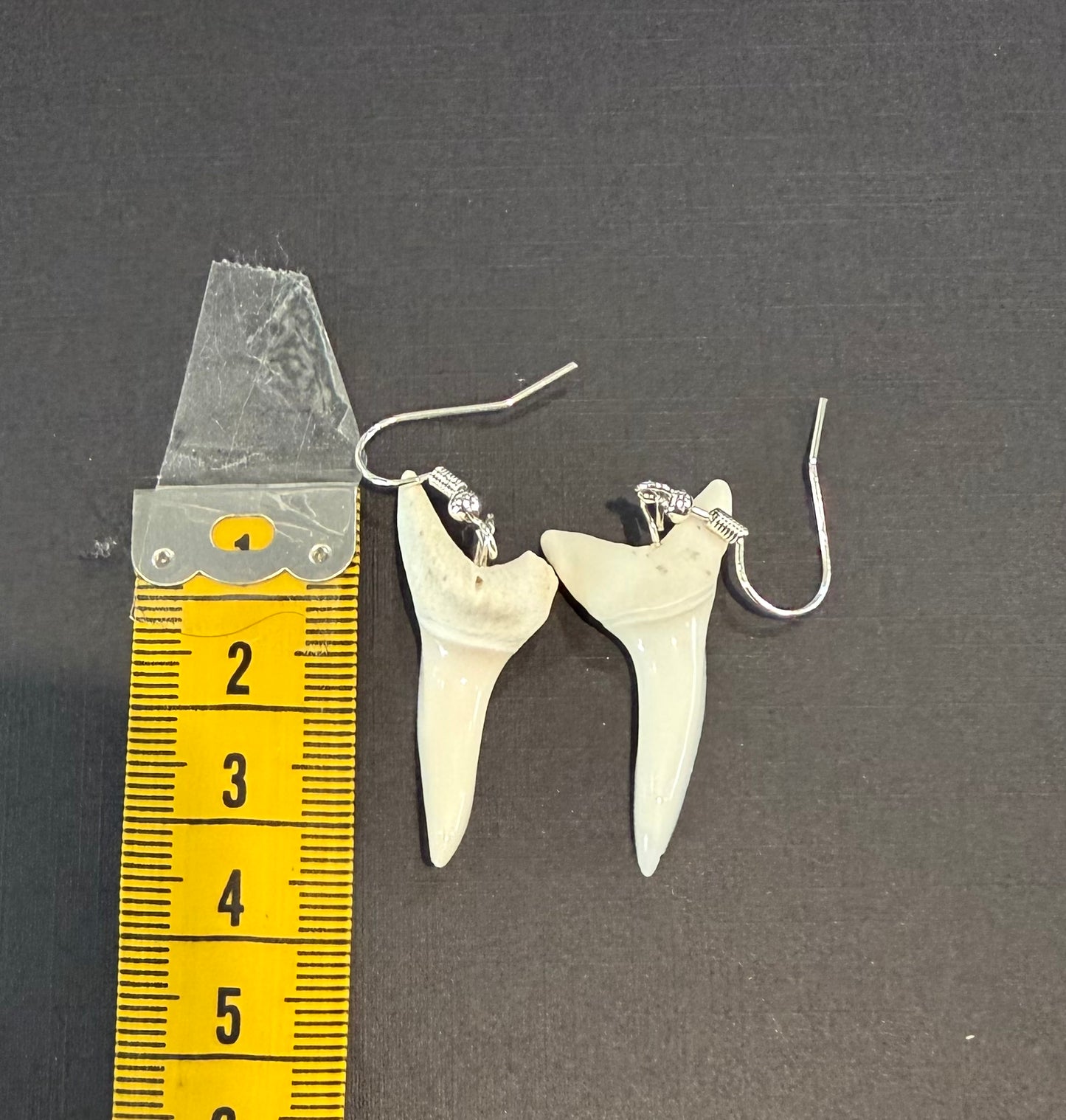 Real Mako Shark Teeth Earrings - No 19