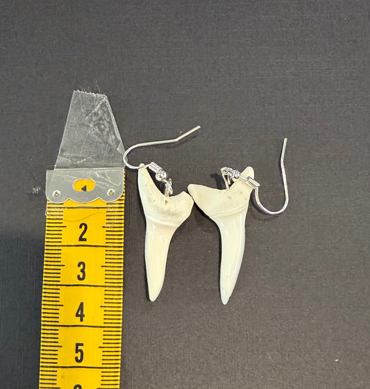 Real Mako Shark Teeth Earrings - No 19