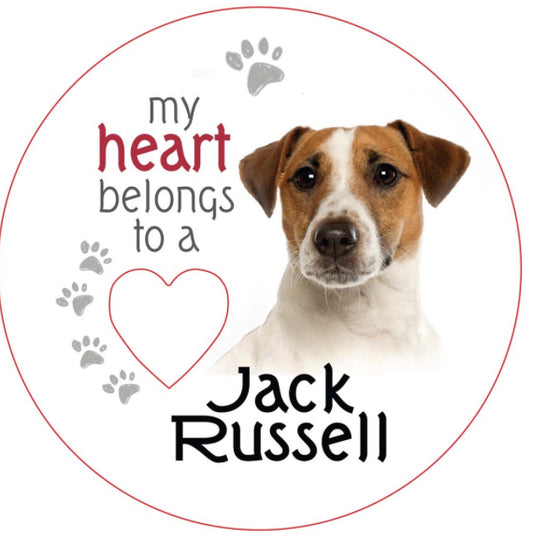 Jack Russell