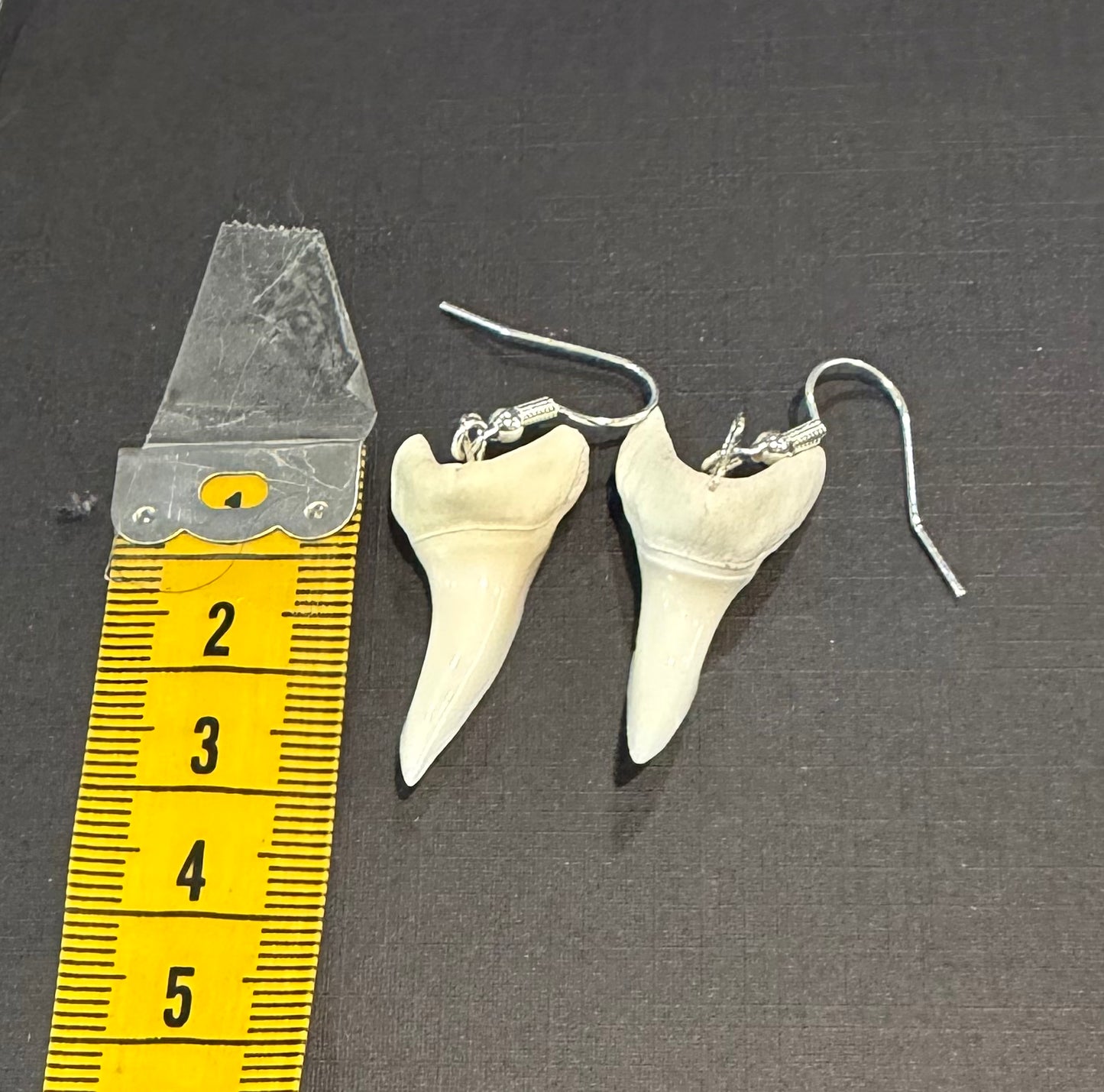 Real Mako Shark Teeth Earrings - No 8