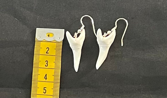 Real Mako Shark Teeth Earrings - No 5