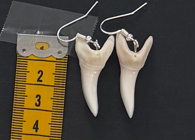 Real Mako Shark Teeth Earrings - No 2