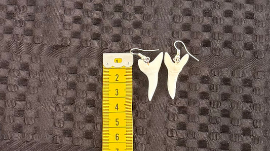 Real Mako Shark Teeth Earrings - No 18