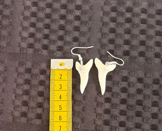 Real Mako Shark Teeth Earrings - No 12