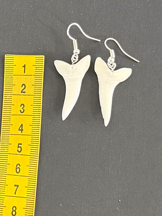Real Mako Shark Teeth Earrings - No 17