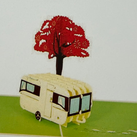 NZ camping Caravan & Pohutukawa