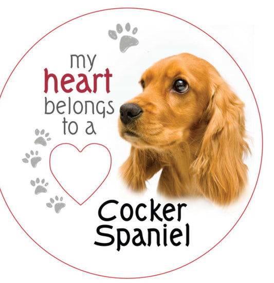 Cocker Spaniel