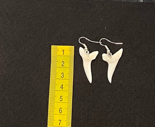 Real Mako Shark Teeth Earrings - No 11
