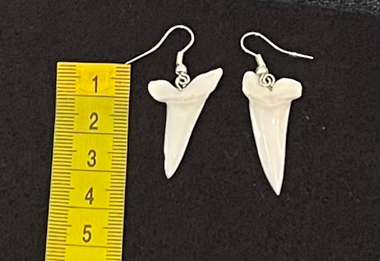 Real Mako Shark Teeth Earrings - No 20