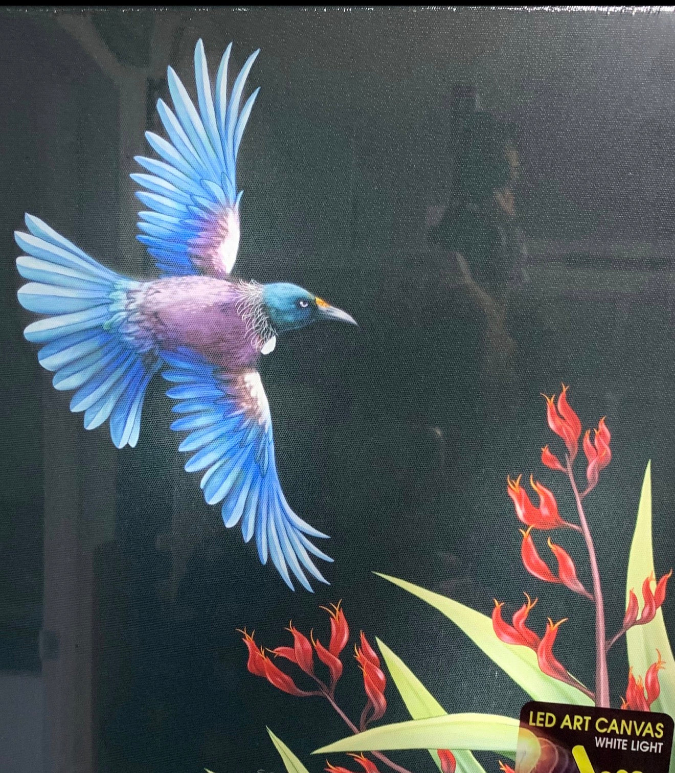 Tui On Flight LED Light Canvas Plus a Card To Match