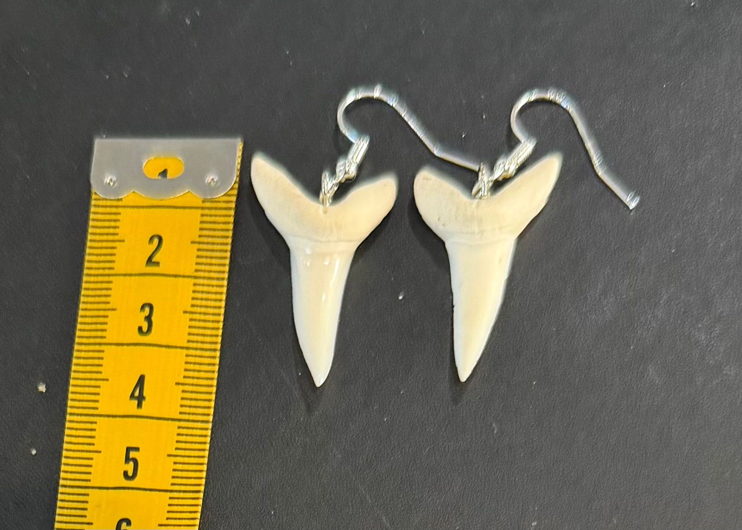 Real Mako Shark Teeth Earrings - No 26