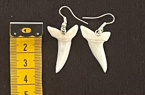 Real Mako Shark Teeth Earrings - No 4