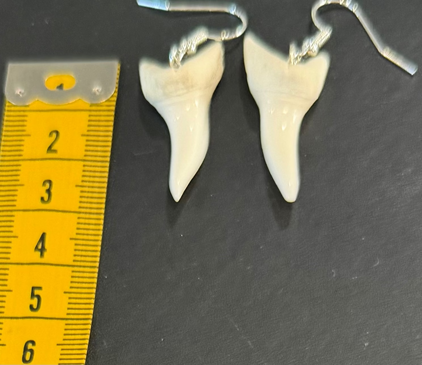 A pair of silver fishhook earrings with white shark tooth pendants, displayed next to a yellow measuring tape on a dark gray surface.