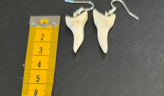 Real Mako Shark Teeth Earrings - No 10