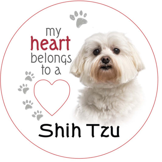 Shin Tzu