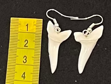 Shark tooth earrings with a measuring tape for scale on a black background