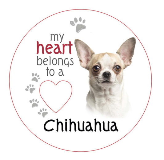Chihuahua