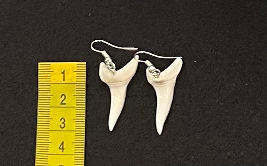Real Mako Shark Teeth Earrings - No 18