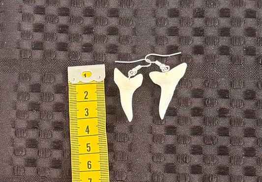 Real Mako Shark Teeth Earrings - No 22