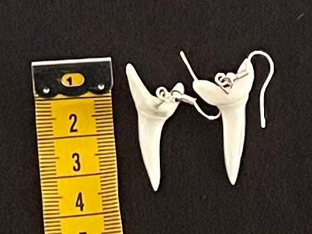 Real Mako Shark Teeth Earrings - No 15