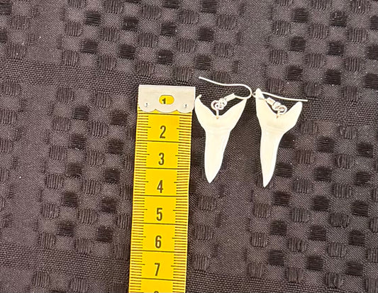 Real Mako Shark Teeth Earrings - No 17