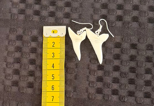 Real Mako Shark Teeth Earrings - No 7