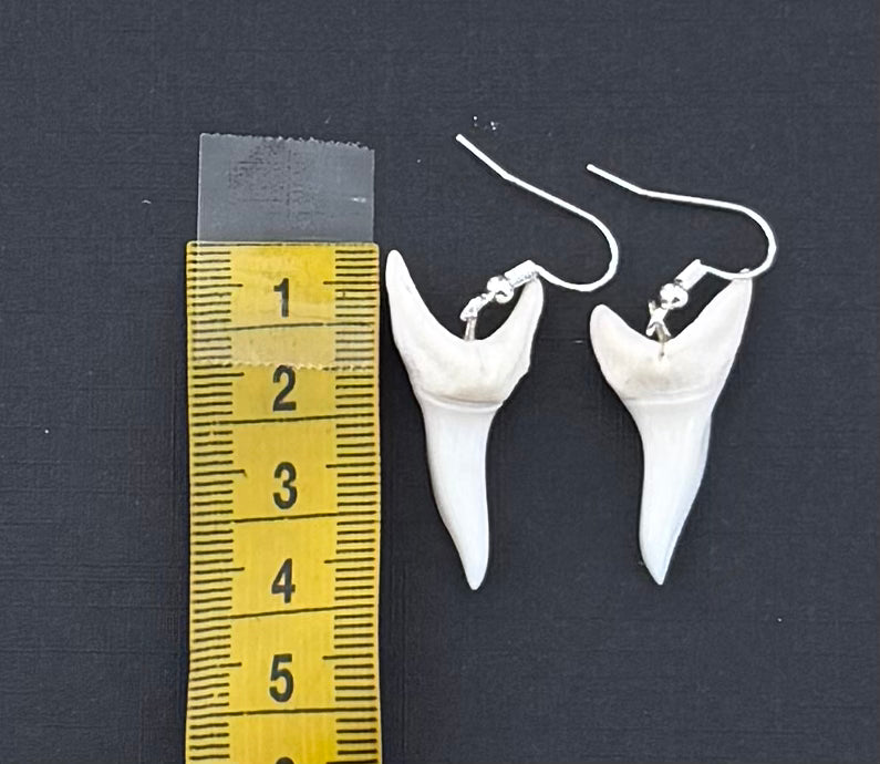 Real Mako Shark Teeth Earrings - No 18