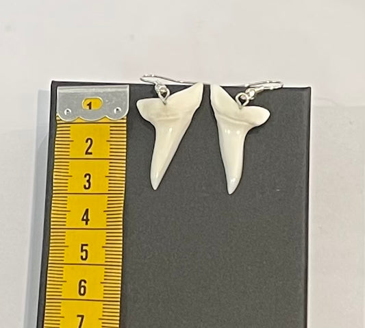 Real Mako Shark Teeth Earrings - No 6