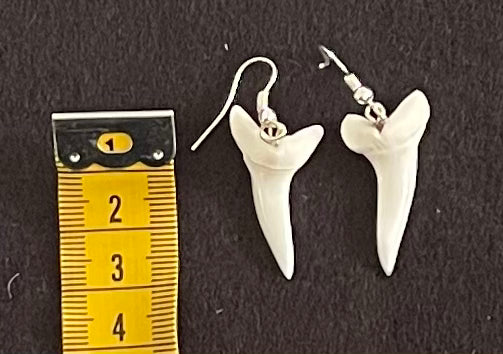 Real Mako Shark Teeth Earrings - No 18