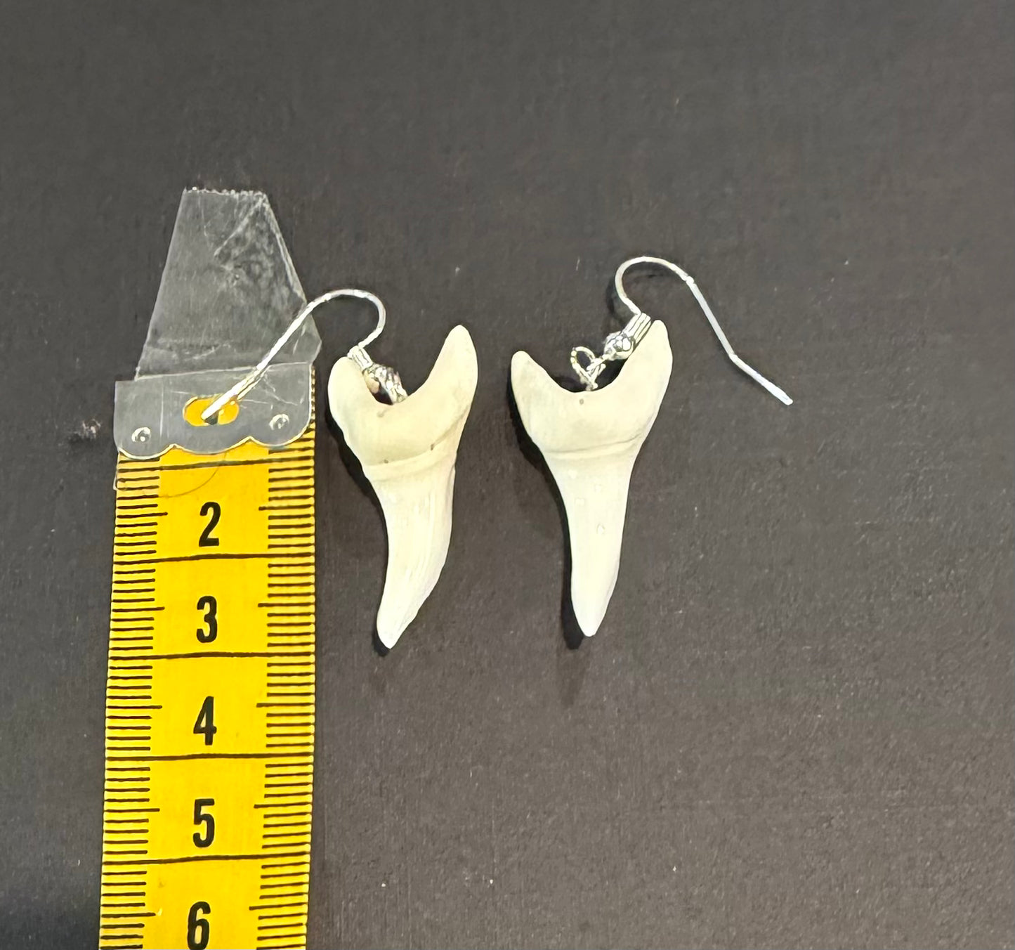 Real Mako Shark Teeth Earrings - No 11