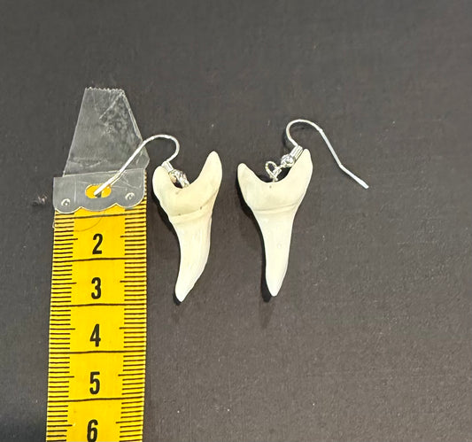 Real Mako Shark Teeth Earrings - No 11